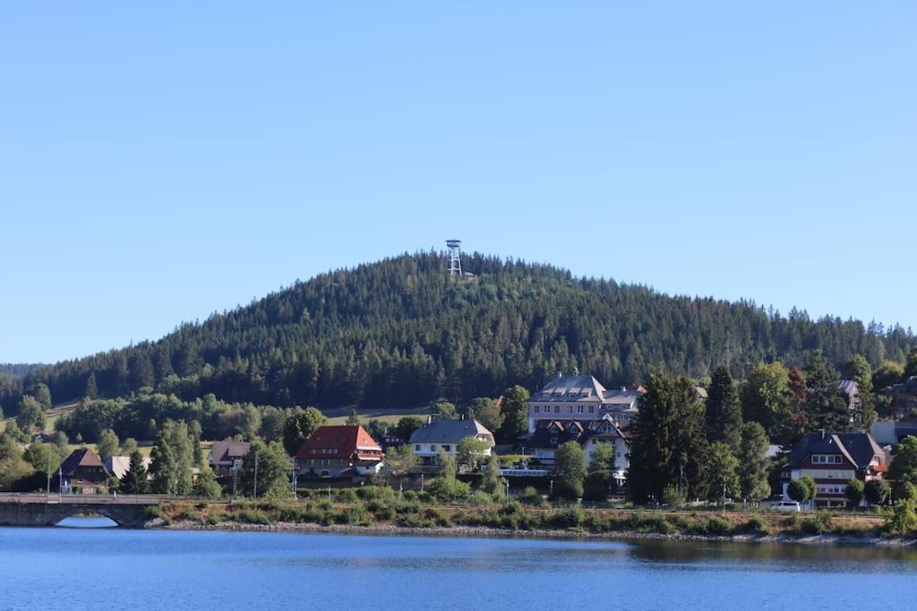 Fewo Sperlingskauz Mit Pool, Sauna & Hochschwarzwaldcard 슈룩흐제 외부 사진